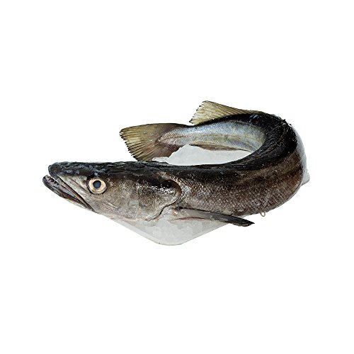 Pescadilla - Entero en filetes, 1.5-2.0 kg