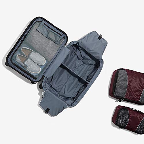 eBags Fortis Pro USB CarryOn Spinner 22 Inch (Rose Gold) BagsThatFly