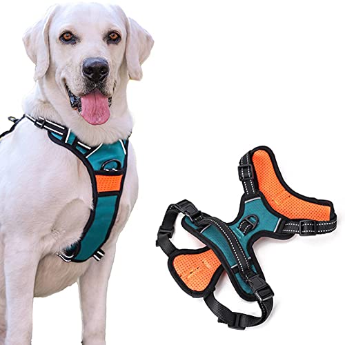 Brustgurt Für Haustiere Haustier Welpengeschirr Weste Brustgurt Reflektierendes Explosionsgeschütztes Sattel Brustwestengeschirr Mit Verstellbarem Schnallen D-Ring Für Hundelauftraining Im Freien Cover