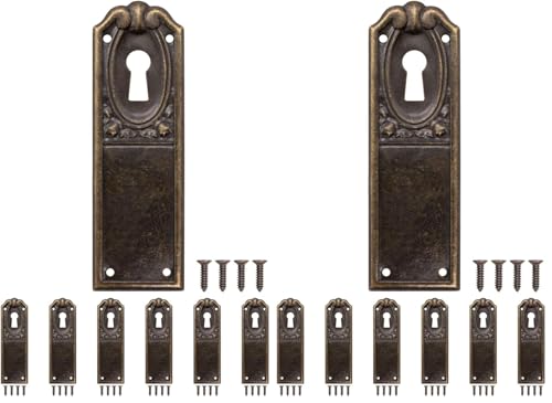 FUXXER 6x Antike Schlüssel-Schilder Messing, Schloss-Rosetten, Vintage Jugendstil 90x28mm (Packung