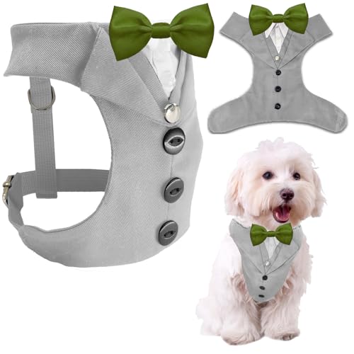 AVERYDAY  ^LV[h    X[c lN^C RX`[ a nEB RXv NX}X p[eB[ ybg tH[}EFA lN^Ct ^LV[h ^ ` rV }`[Y L