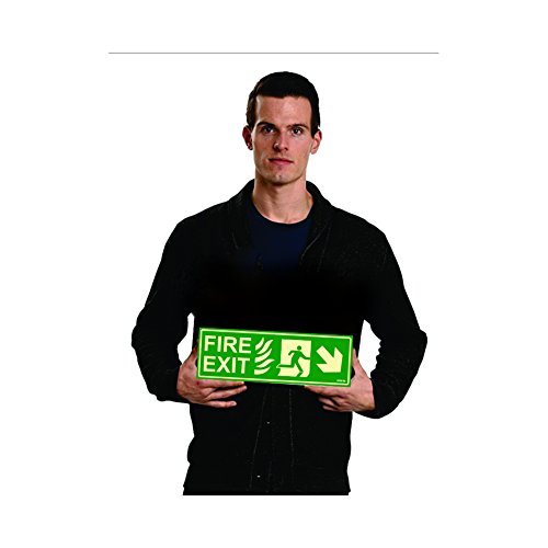 Buy Clickforsign FES-7-M-1-2x Glow in Dark Emergency Fire Exit Sign ...