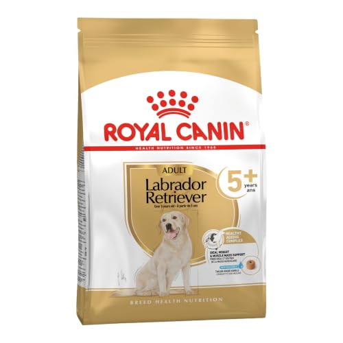 ROYAL CANIN Labrador Retriever 5+ Trockennahrung für Hunde – 12 kg