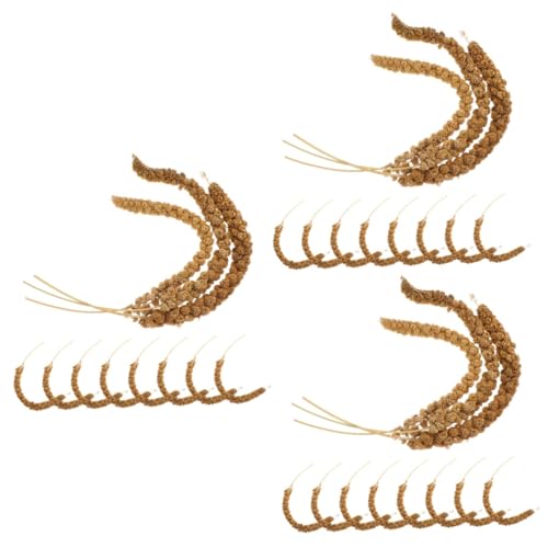 BESPORTBLE 3 Juegos Comida de mijo Loro Comida para periquitos Comida para cotorras Comida para Aves de Cola Larga Granos Naturales para Loro alimento Natural de Granos Secos espigas de Grano