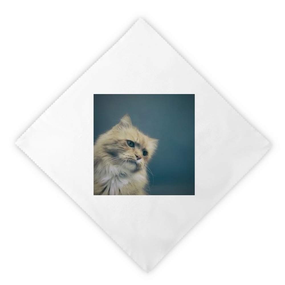 Servilletas de tela de gato azul lavables para sustituir el papel en tu cocina