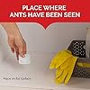 Hot Shot MaxAttrax Ant Bait, 0.07 oz Bait Stations, 4 Count, 1 Pack #4