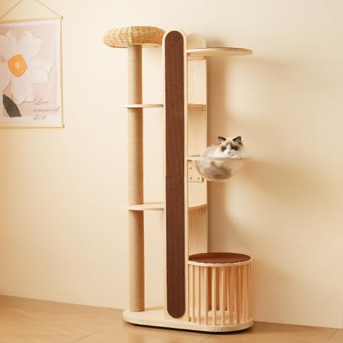 KJUUJELbg^[ L^[ Lbgc[ X 173.5cm u lR^[ 艺肵₷ ܂Ƃ|[ ؐ  qL ^L ybgpi 