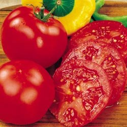 Clovers Garden Early Girl Tomato Plants- Two (2) Live Plants – Non-GMO - Not Seeds – Each 4"-8" Tall in 4 Inch Pots - High Yield Canners
