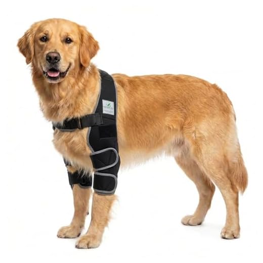 Nature Pet Ellenbogenbandage Hund/Ellenbogenschoner mit Netzeinsatz für Kühl- oder Wärmepads – ideal bei Liegeschwielen und Arthrose beim Hund – In Deutschland entwickelt – Druckschutz (M Schwarz)