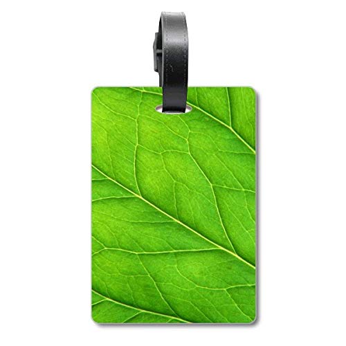 Étiquette de valise plante verte pour éviter les pertes de bagages