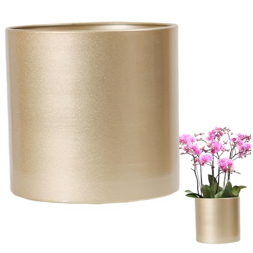Métal antirouille de 9 pouces pour un pot de fleur durable et chic - 3
