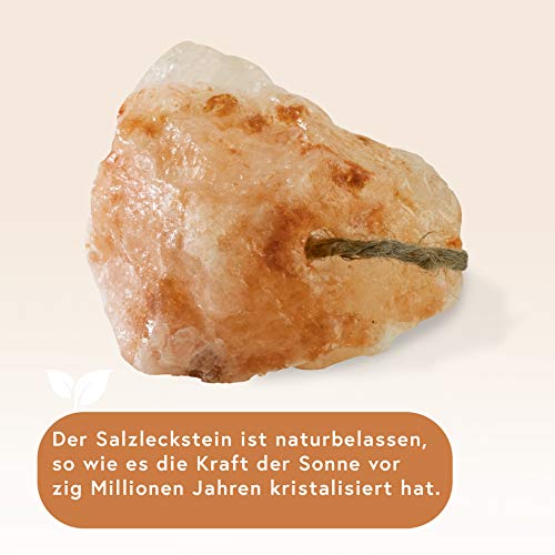 Hochwertiger Salzleckstein “Bergkristall” 8-10 Stück Leckstein mit Kordel, ca. 1 kg, für Kaninchen, Kleintiere, Katzen, Hunde und andere Tiere