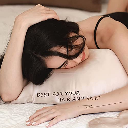 Thxsilk Silk Pillowcase 22 Momme 100% Pure Mulberry Natural Soft Breathable Pillow Cover With Hidden Zipper Closure, Standard Size 20"X26",White #TOP2