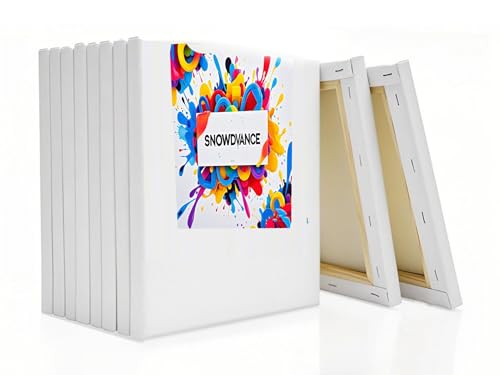 Lienzos para pintar sin arrugas SNOWDVANCE de algodón con bastidor rígido de madera 10 pc 2
