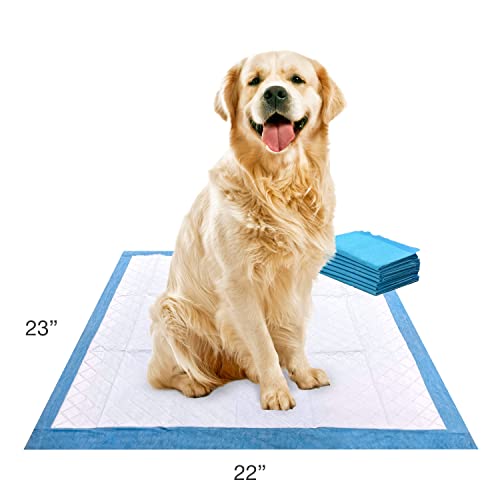 Image of Four Paws Wee-Wee Superior Performance Dog Pee Pads, 7 Count | Quilted leak-proof puppy pads, dog housebreaking & potty training, 24-hour floor protection, pet supplies, 22 inch x 23 inch