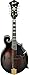 Ibanez M522 - Dark Violin Sunburst Gloss