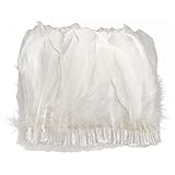 wanjin Duck Goose Feathers Trim Fringe Craft Feather Clothing Accessories Pack of 2 Yards（White）
