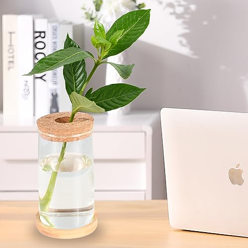 Mixbird ROUND VASE 001 Clear Glass Vase With Lid And Bamboo Holder,Cylinder Vase thumb #2