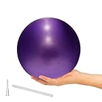 ElwynnLane 9 Inch Exercise Pilates Ball Mini Exercise Barre Ball for Yoga,Stability Exercise Training Gym Anti Burst and Slip Resistant Balls Physical Therapy Improves Balance, Core Strength