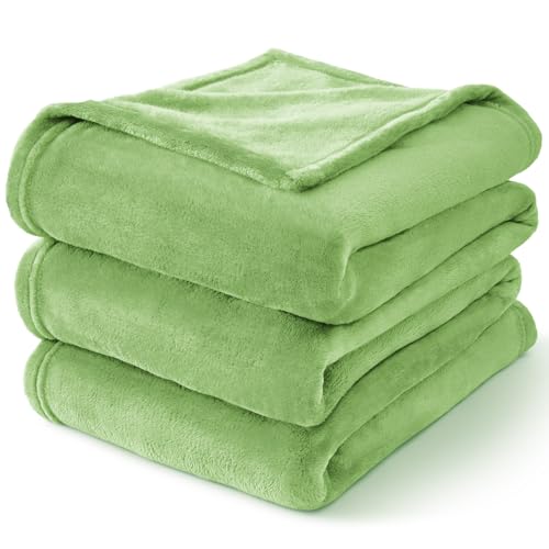 Image of BEDELITE Fleece Blanket King Size Blankets for Bed, Luxury Plush Cozy Fuzzy Blanket 108x90 inches, Super Soft Warm Lightweight Throw Blanket All Seasons Suitable, Grass Green