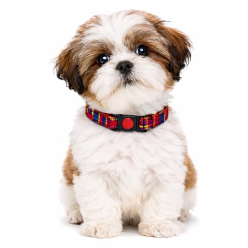 Image of Emily Pets Dog Collar with Safety Locking Buckle, Adjustable Soft Breathable Comfortable Nylon Pet Collar for Small, Medium Dogs and Cats (Color May Vary)