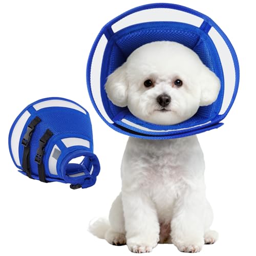 Allroaring pR[ p㒲߉\ \tgybg񕜎&R[ ^ rߖh~ GUxXJ[ np u[ S