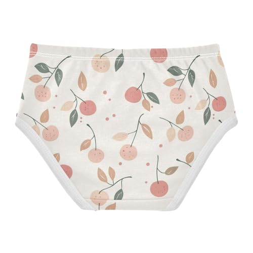 ZZKKO Cute Cherry Farmhouse Girls Underwear Toddler Panties for Girls Comfort Brief Size 2-8T2