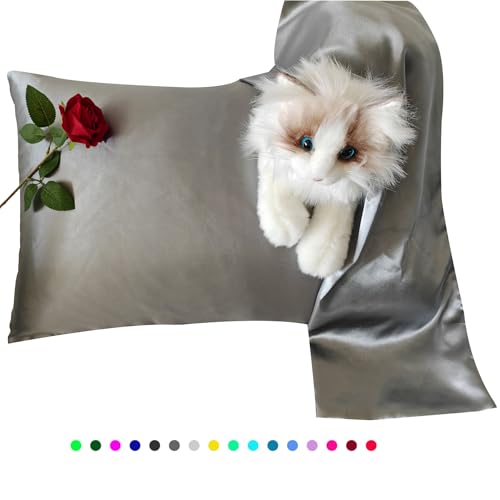 ZIYUHOME Pillowcases Dark Grey Queen 20x30 Inches Set of 2 Soft Smooth Comfortable Silky Pillowcase Similar to Silk Pillow Cases Satin Polyester Envelope Closure Gifts (Queen, Dark Grey)