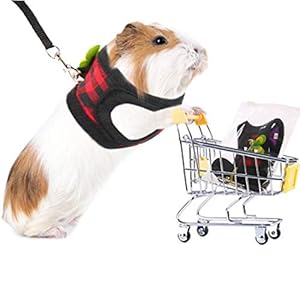 Hand Made Harness Vest and Leash Set for Hamster Rats Iguana Bearded Dragon Baby Ferret Soft&Adjustable Medium Red