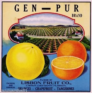 Magnet Lisbon Florida Gen-Pur Orange Citrus Fruit Crate Magnet Art Print