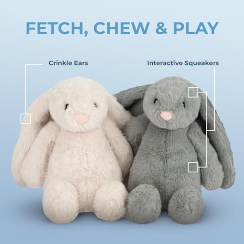 Image of Best Pet Supplies Interactive Squeaky Dog Chew Toy, Ideal Dog Toys for Chewers, Small, Medium & Large Dogs, and Fetch Lovers - Bunny (Beige), Small