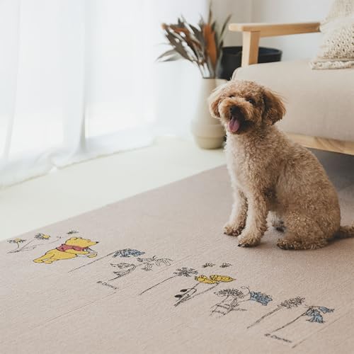 Sanko TR[ fBYj[ ܂̃v[ WCg}bg ^C}bg 45×45cm 2 x[W J[ybg^Cv z KY-19