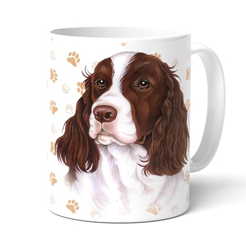 Power gift springer spaniel