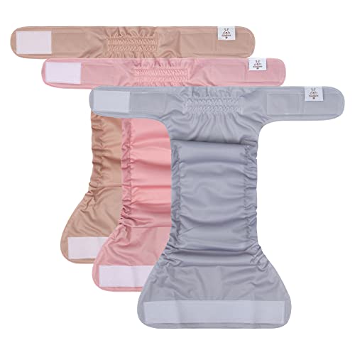 Image of CuteBone Washable Dog Diapers Female No Tail Hole 3 Pack Reusable Doggie Period Training Pants for Docked-Tail Frenchie French Bulldog Boston Terrier Without Tail WWD07M