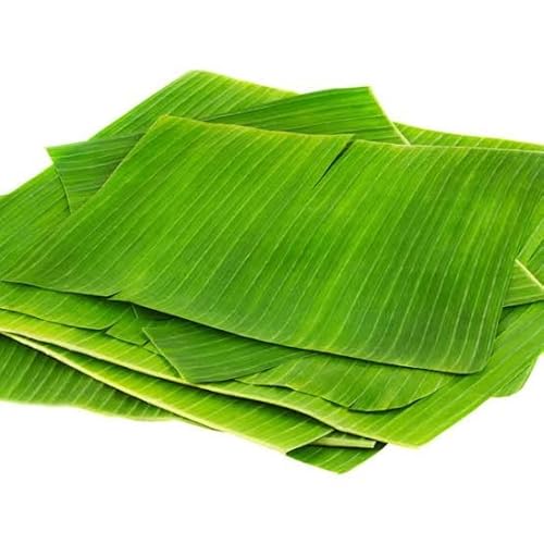 Fresh Banana Leaves, Large Green, 10-Pack for Traditional Cooking