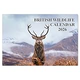 British Wildlife Calendar 2026 12 Month to View A4 Wall Calendar 2026 A3 When Open Calendar 2026 Wildlife Papa Prints