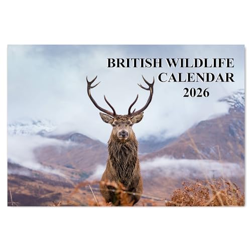 British Wildlife Calendar 2026 12 Month to View A4 Wall Calendar 2026 A3 When Open Calendar 2026 Wildlife Papa Prints