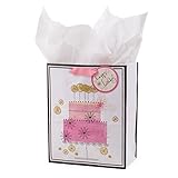 Hallmark Medium Birthday Gift Bag with Tissue Paper (Birthday Cake)