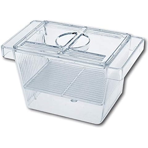 Amtra Réservoir d'Élevage 3 en 1 Cover