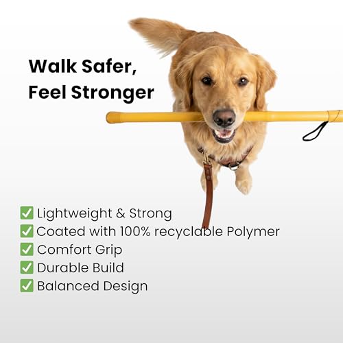 Image of Bamboo Dog Walking Stick 66cm (25mm) Matte Gold - Lightweight Splinter-Free Dog Training & Control Stick with Wrist Strap - Pet Safety & Walk Management Aid