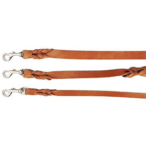 Correa para Perros de Cuero - Longitud - 2cmx100cm