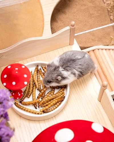 Niteangel Hamster Snack & Treats Toy - Small Animal Natural Treat for Dwarf Syrian Robo Hamsters Gerbils Mice Lemmings Degus or Other Small-Sized Pets (Dried Worms- 0.9oz (25g)) — view 4