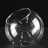 Multifonction décoratif : pour créer des centres de table attrayants ou ajouter une touche d'élégance à n'importe quelle pièce, ces vases sont adaptés à diverses occasions et environnements.