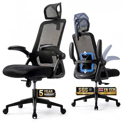 Realm of Thrones Mesh Ergonomic Office Chair, Back Support and Long Hours