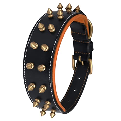 DowgClub, Black - Gold Spikes, M (Fit Neck Size 14.5"-18.5") - Image 3