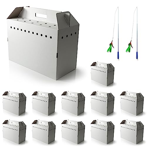 Cardboard Cat Carrier The 15 best products compared Wild Explained