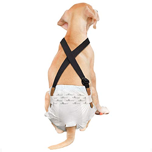 Image of Paw Inspired Dog Diaper Suspenders with Velcro Fasteners | Stretchy Adjustable Suspenders for Female and Male Disposable and Washable Diapers | Fits Small, Medium and Large Size Pets (M /L, Black)