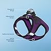 Best Pet Supplies Voyager Step-in Air Harness - All Weather Mesh, Reflective, No Pull Harness for Dogs, Cats - Secure with Hook & Loop Fastener, Buckle, Double D-Rings - Purple/Black Trim, M #2