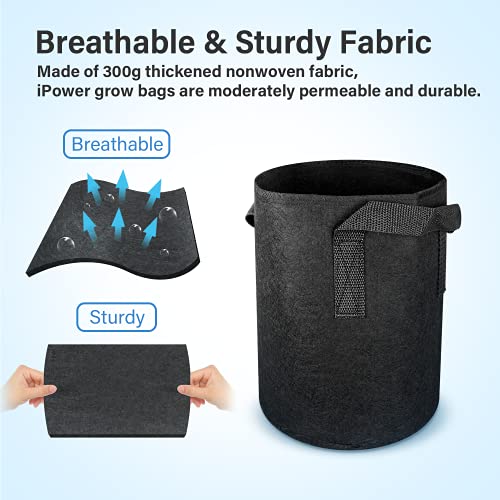 Ipower 10-Pack 1 Gallon Plant Grow Bags Heavy Duty Thickened Nonwoven Aeration Fabric Container Durable Pots, Strap Handles For Garden, Black #TOP3