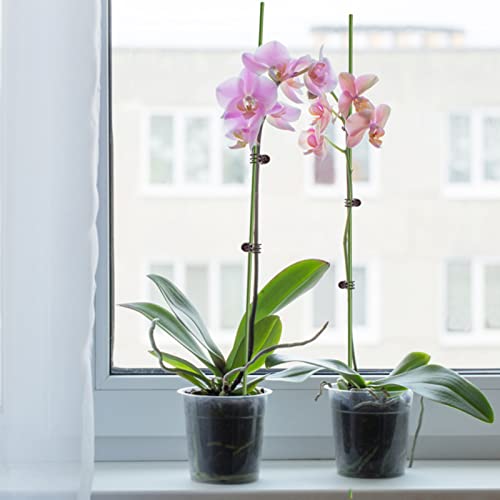 Gswpip 10Pcs Plant Support Stakes With 15 Pcs Plant Clips, 24Inch Tall Single Stem Flower Stakes Bendable Plant Sticks For Indoor Plants Orchid Clips And Stakes For Planting Climbing #TOP7
